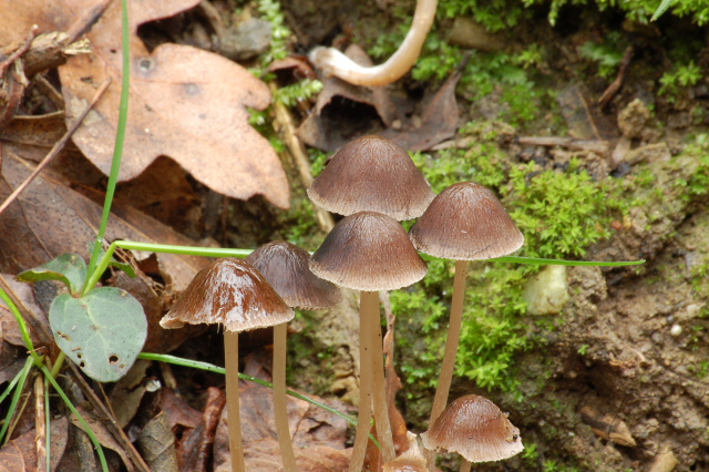 Criticatemi pure senza piet�!